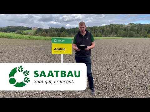 Wintergerstenanbau im Herbst