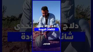 دلاح  دكالة "البوري" يتحدى شائعات الجودة.. والمهنيون: تكلفة النقل واليد العاملة تحدد سعر البيع thumbnail