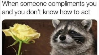 33 Fresh INFJ Memes 🌼