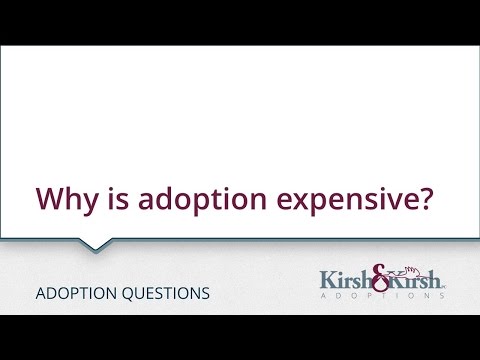 Adoption Questions: Why is adoption expensive?