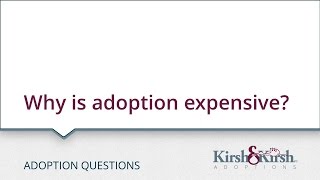 Adoption Questions: Why is adoption expensive?