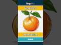 tangerine - mandarina video thumbnail