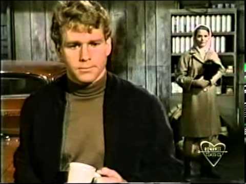 PEYTON PLACE:  Episode 316 (Part 1 of 2)