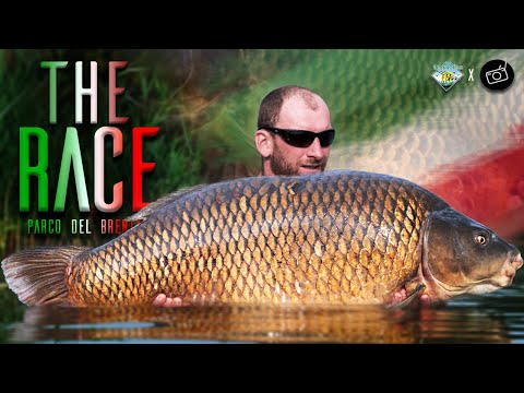 Carp Fishing For The BIGGEST Fish At Parco Del Brenta | The Race