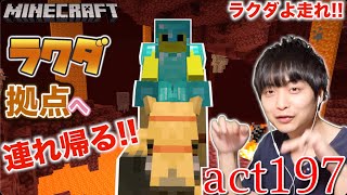 【マインクラフト】【苦戦】ラクダをネザーの中で拠点へ連れて帰る!! マグマに落ちないように走ってジャンプ!!【セイハのセハクラ実況act197】