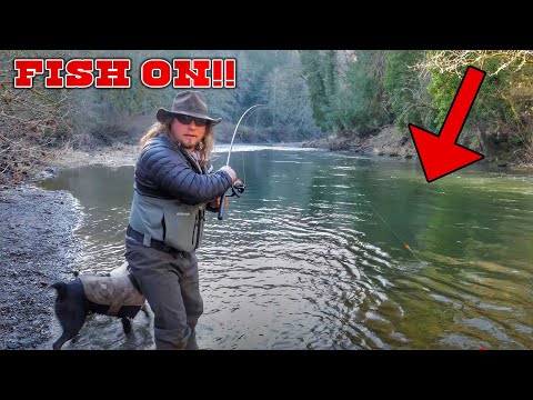 Tactics For Winter STEELHEAD Bank Fishing. (I CAUGHT ONE!)