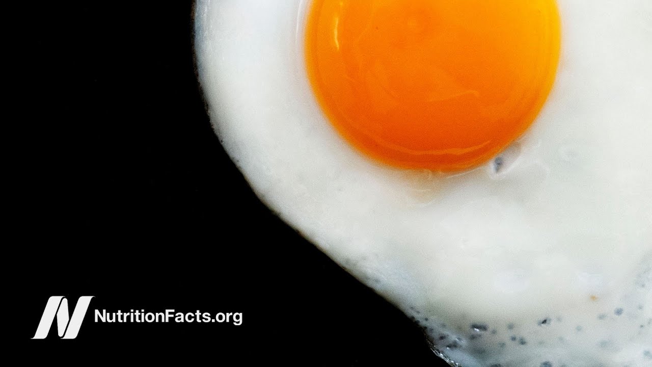 Does Dietary Cholesterol from Eggs Raise Blood Cholesterol?