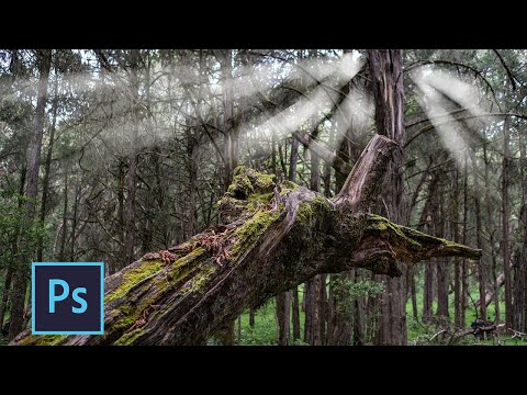 How to Apply Radial Blur Effect in Photoshop - Photoshop for Beginners Tutorial