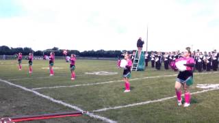 Pink Night School Song