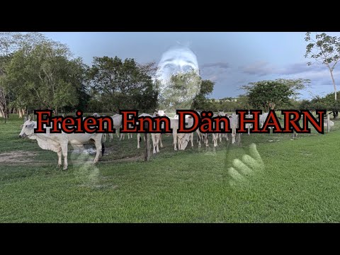 Gott Woat daut Doon George Schmidt