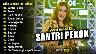 Download lagu Dike Sabrina Ft Om Sera - Santri Pekok | Full Album Terbaru 2023 (Video Klip) mp3