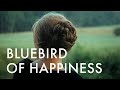 mojave 3 - bluebird of happiness