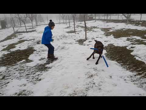 Cantonament Polovragi februarie 2019 - 14