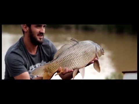 Struben Short Sessions - Part 1 Karpioene