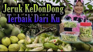 Download lagu Jom Kita Buat Jeruk Buah KeDonDong...Senang Je Kot mp3