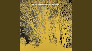 No Snow on the Mountain