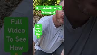 How to Remove Weeds! - Works in 24 Hours #shorts