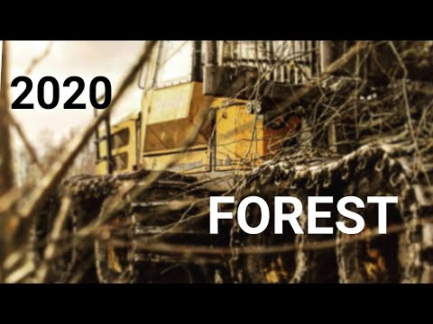 🌲 FOREST 🌲 2020 🌲METSIS 🌲 🇪🇪