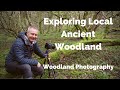 Exploring Local Ancient Woodland : Woodland Photography