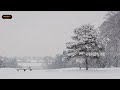 Wind Snow Sound Effect Faal Ses Arşivi