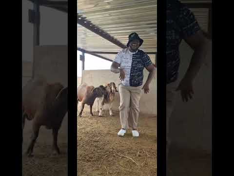 umguzumbane we summer #kwesta #newmusic #summersoundtrack #summer