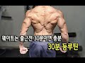 직장인평생몸짱? 꾸준히 출근전 30분이면 충분합니다. 등운동루틴, 그리고 등운동법꿀팁
