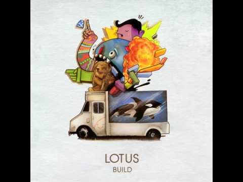 Lotus - Massif