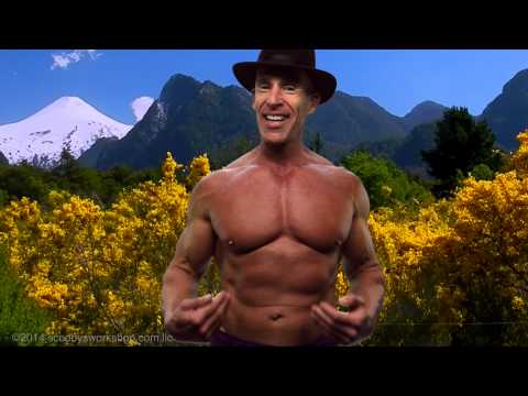 download lagu mp3 mp4 Scooby Calorie, download lagu Scooby Calorie gratis, unduh video klip Scooby Calorie