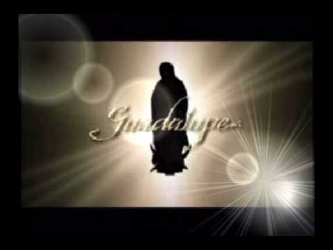 download lagu mp3 mp4 Flor Y Canto Filippa Giordano, download mp3 Flor Y Canto Filippa Giordano free download mp3, download mp3 Flor Y Canto Filippa Giordano
