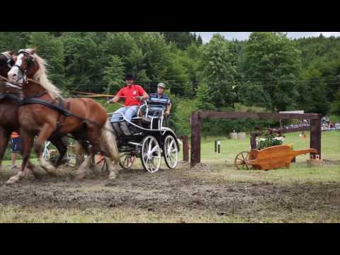 Vozatajské závody v Dolní Lomné