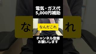 自民党・高市政権、補正予算で電気・ガス代3ヶ月5000円支援を表明するも物議。相当な額徴収されている再エネ賦課金を無くすか減らしては？消費税も含まれてるので、減らす方が支援になりますよ。