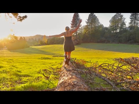 The Heartbroken Tree Hugger | Story 15