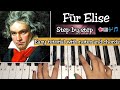 Beethoven Für Elise Easy Piano Tutorial With Notations In Easiest Way Step By Step