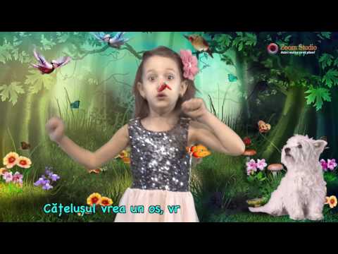 MASA BUNA - ANDREEA STEFAN,  CANTECE PENTRU COPII 2018