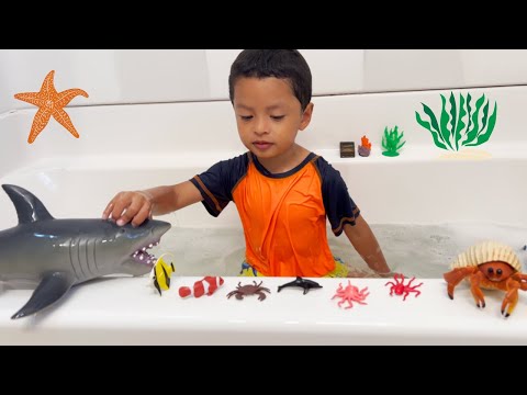 Fun Sea Animal Toys in Bubble Bath! Jeremy Plays with his Collection