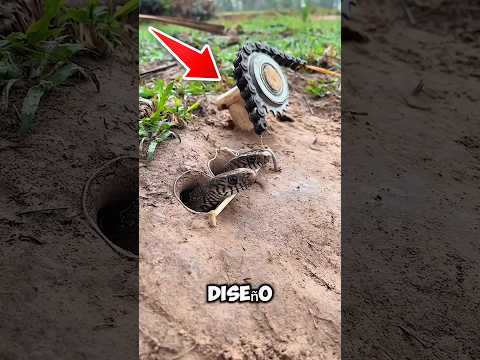 La trampa ingeniosa que creó para deshacerse de las serpientes 😮 #shortvideo #historia #shorts #diy