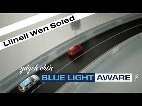 Blue Light Aware Short 5 - Llinellau Gwyn Dwbl