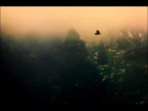 Woob - Depart (Woob² 4495)