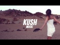 Fastlane - Into You [Kush Music Premiere] 