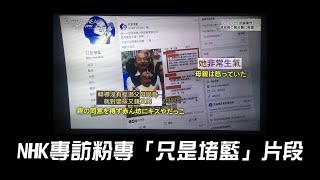 Re: [新聞] 綠營側翼敗票論瀰漫！一文看「粉專明星