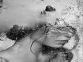 Leonard Cohen - "Love Itself"
