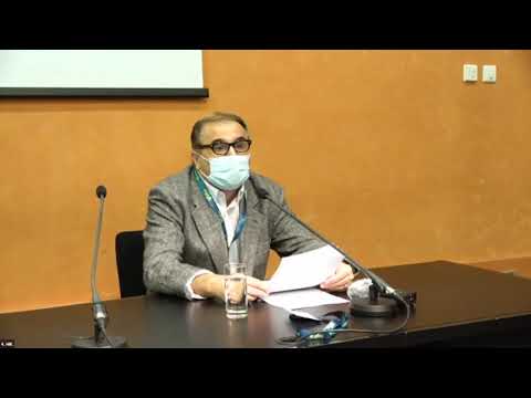 Jure Vujić: Ideologija globalne mobilnosti i pitanje remigracije hrvatskog iseljeništva