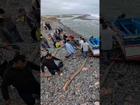 Embarcación varada: la gente se lleva los calamares