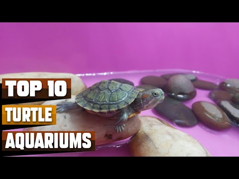 Turtle Aquariums : Most Amazing Turtle Aquariums on Amazon