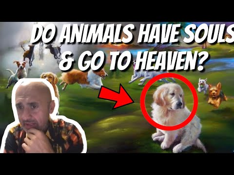 Do Animals & Pets have Souls in the Bible and go to Heaven ? | Sam Shamoun