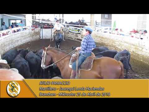 25-04-18 Nota Atilio Panaccio - Martillero - Jauregui Lorda Haciendas - Brandsen