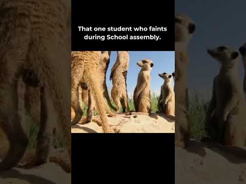 Fainting Meme