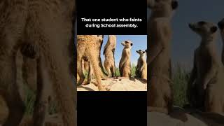 That one student who always faints during school assembly 🤪🤯 #memes  #schoolmemes