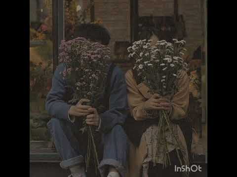 The night we met. Lord Huron,Phoebe Bridgers.