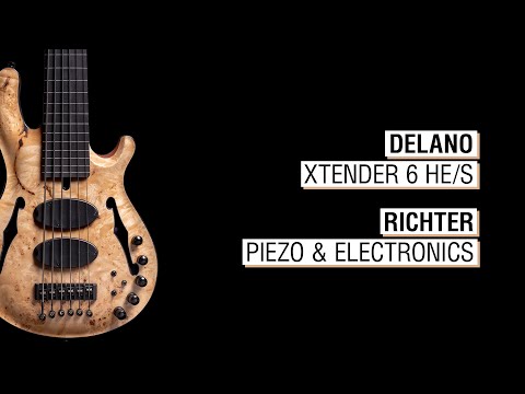 Delano Xtender 6 HE/S + ETS Piezo & Richter Electronics - Mensinger Joker B 6a Fretless Hollowbody